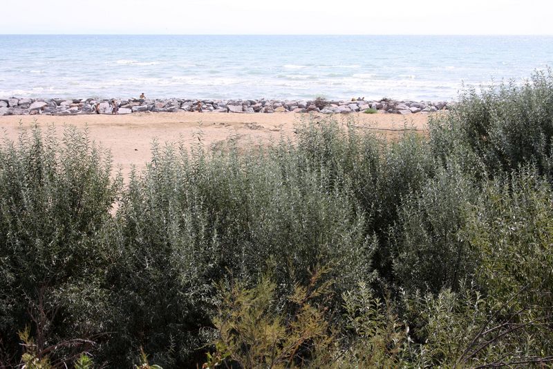 Il faro di Bibione e la foce del tagliamento